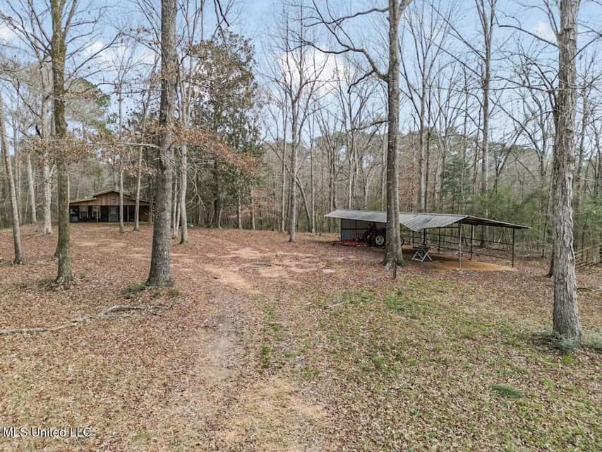 20 Acres and Cabin Adjoining Homochitto National Forest