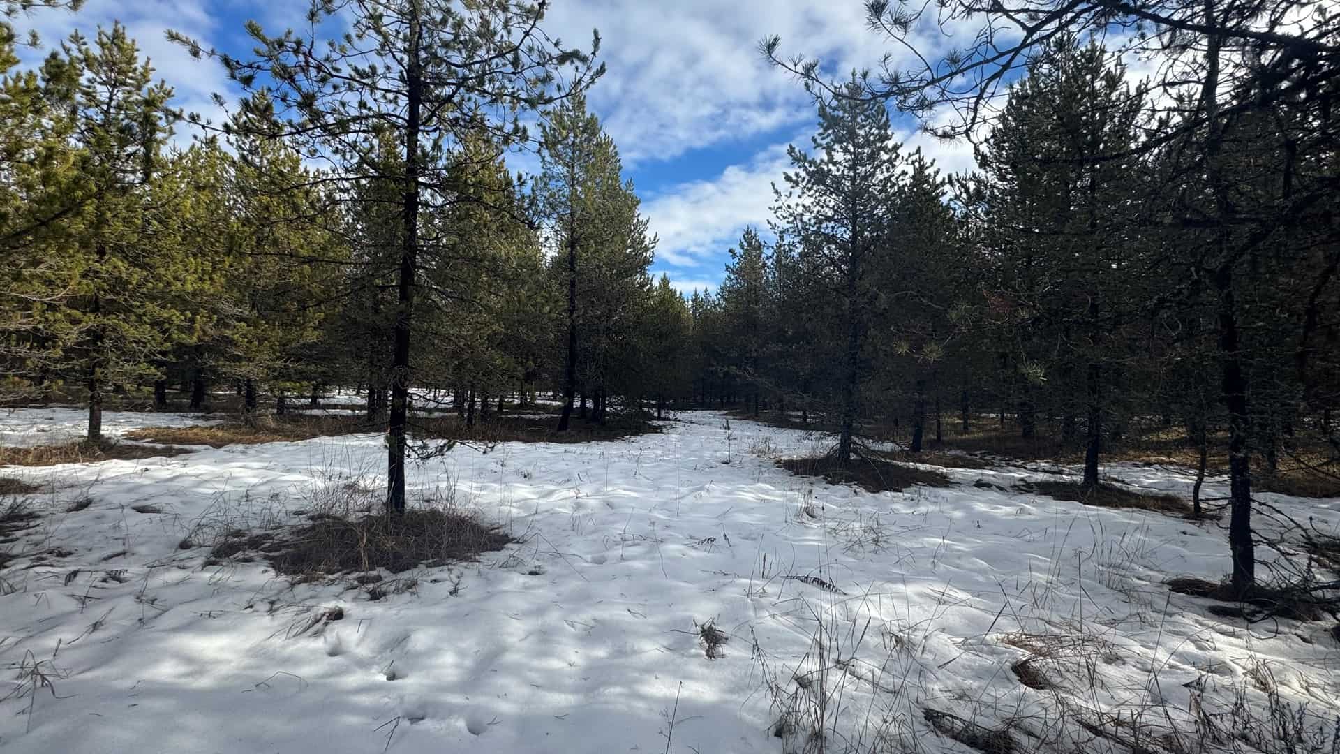 Land for Sale in Orofino, Idaho