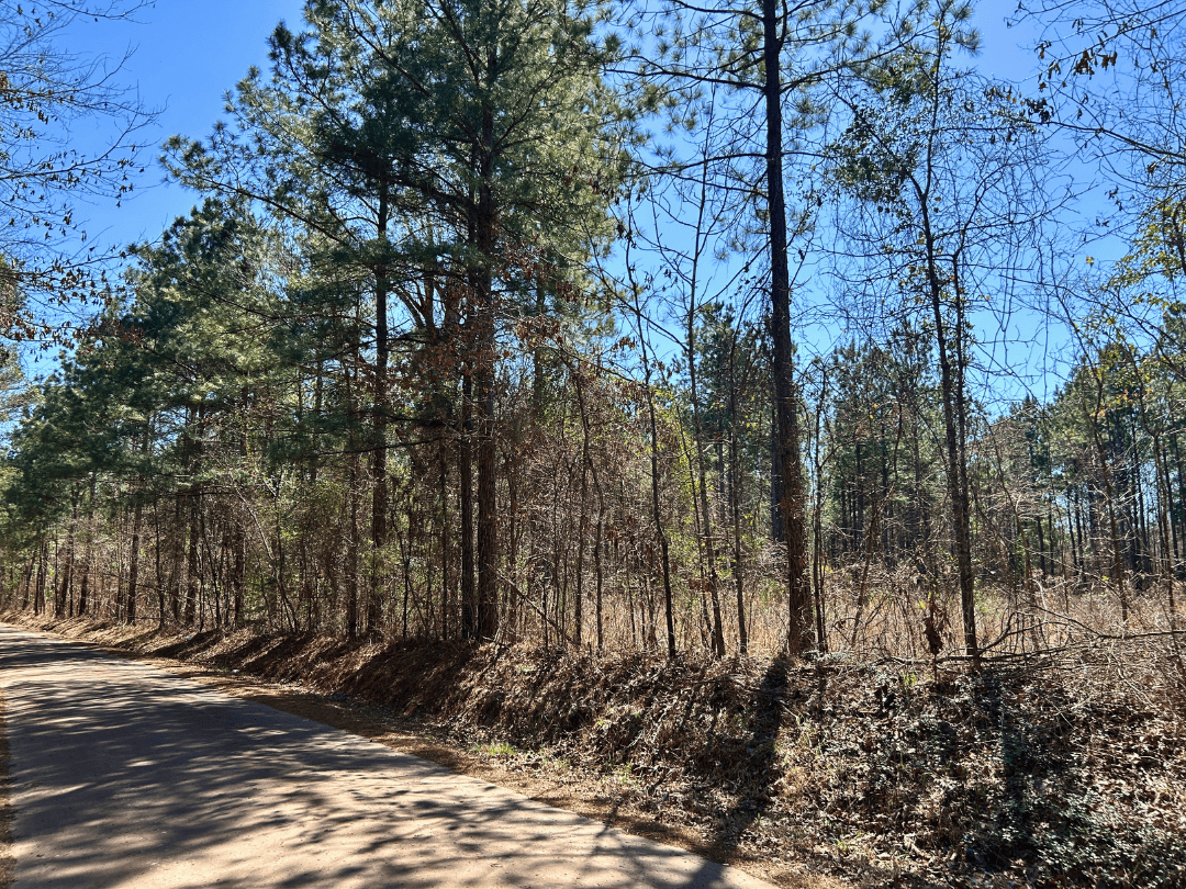 Secluded Timber Homestead in Linden, Texas