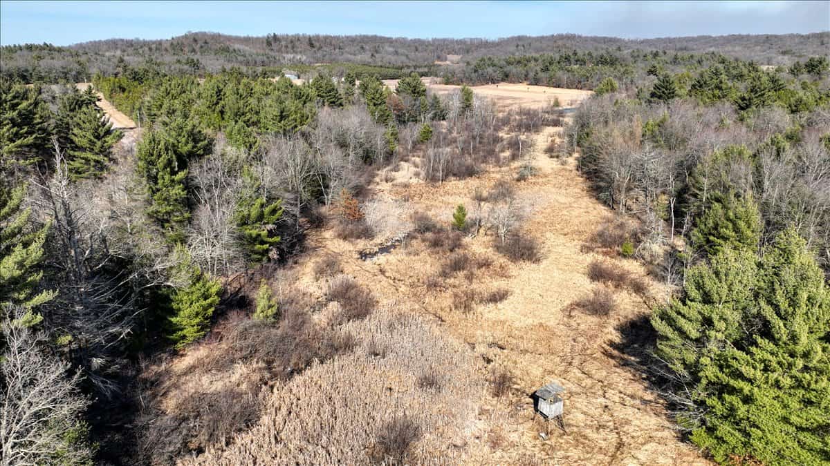 Premier Hunting and Recreational Property in Monroe County