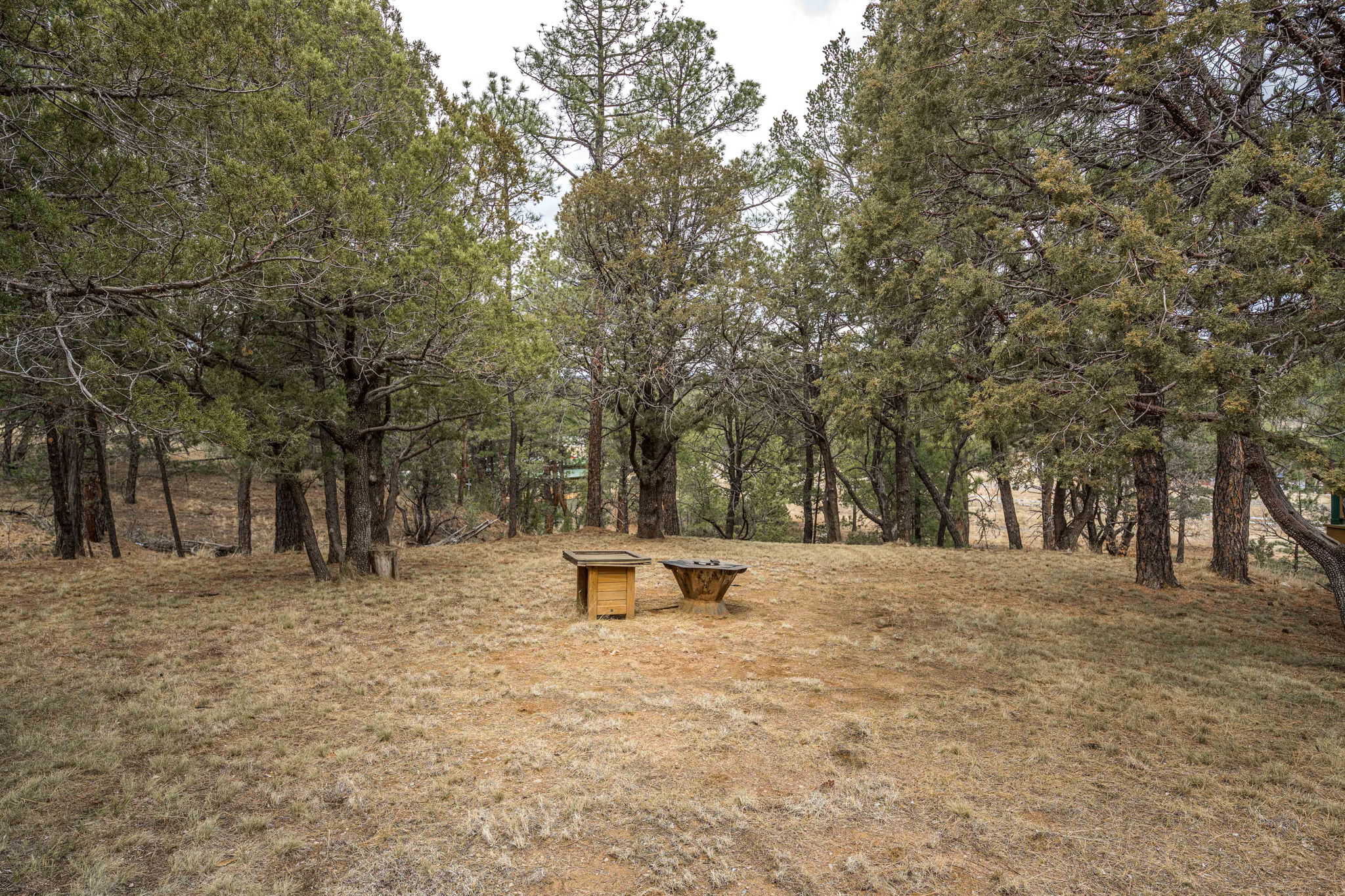 Hunting Property with Furnished Cabin for Sale in Timberon, New Mexico