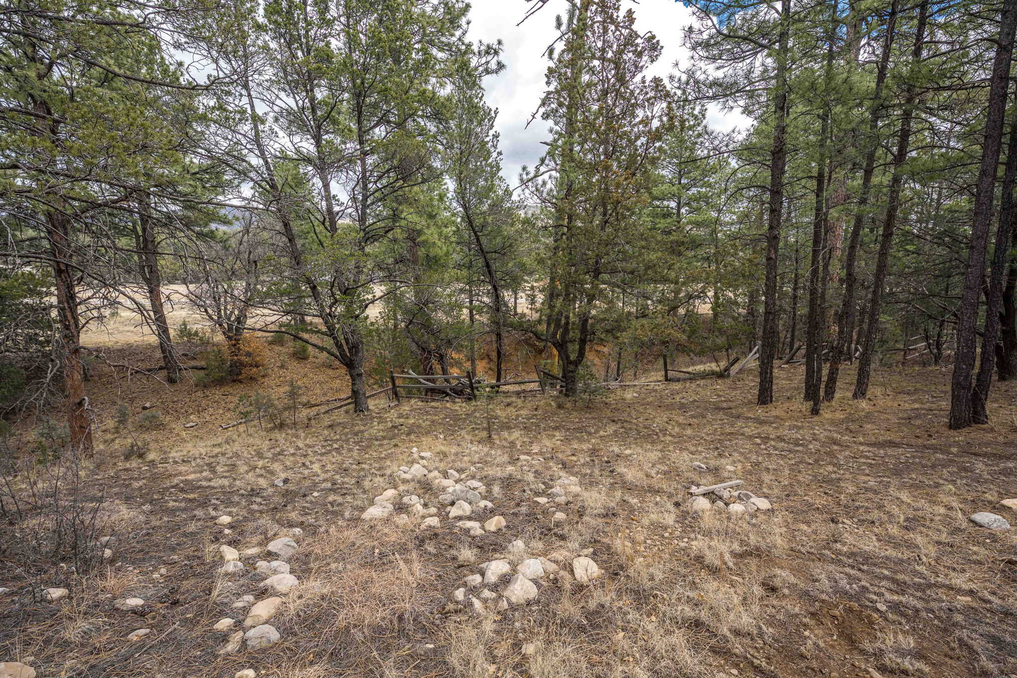 Hunting Property with Furnished Cabin for Sale in Timberon, New Mexico