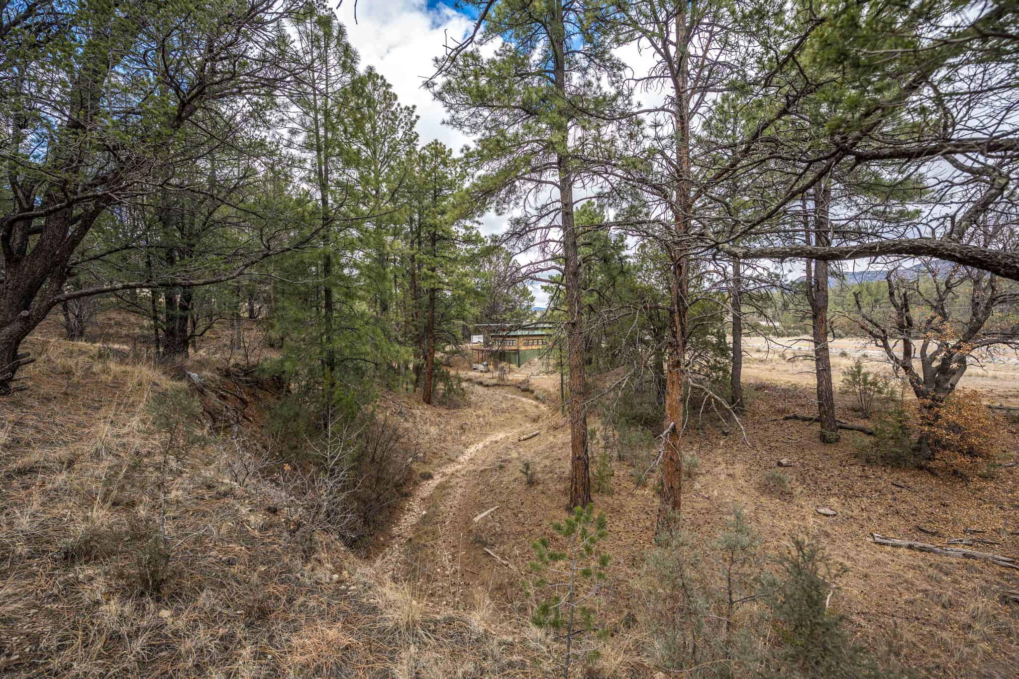 Hunting Property with Furnished Cabin for Sale in Timberon, New Mexico