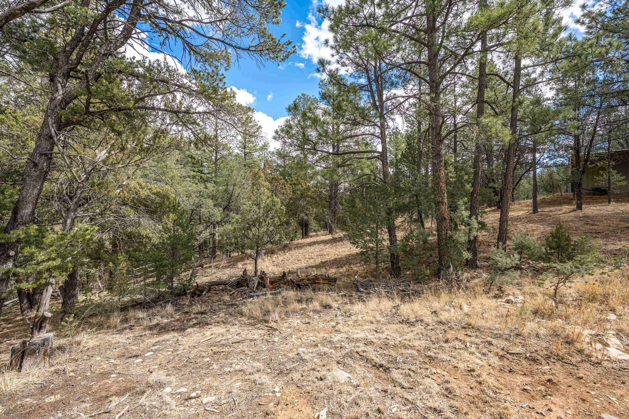 Hunting Property with Furnished Cabin for Sale in Timberon, New Mexico