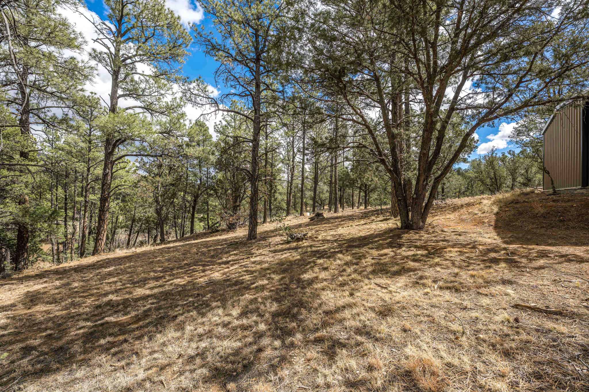Hunting Property with Furnished Cabin for Sale in Timberon, New Mexico