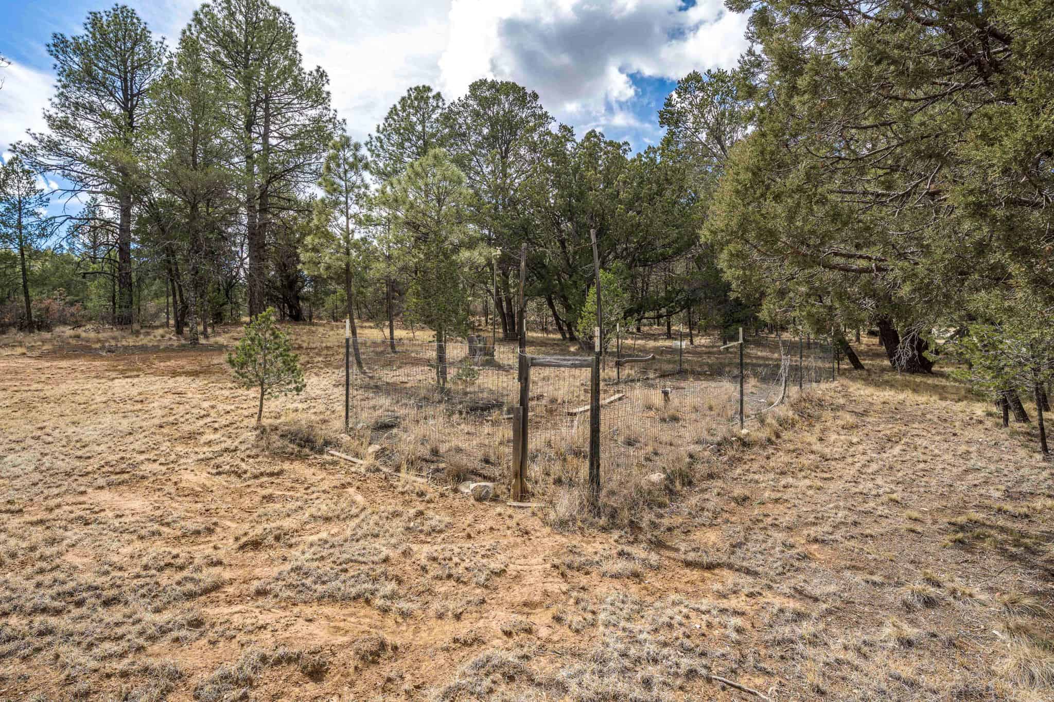 Hunting Property with Furnished Cabin for Sale in Timberon, New Mexico