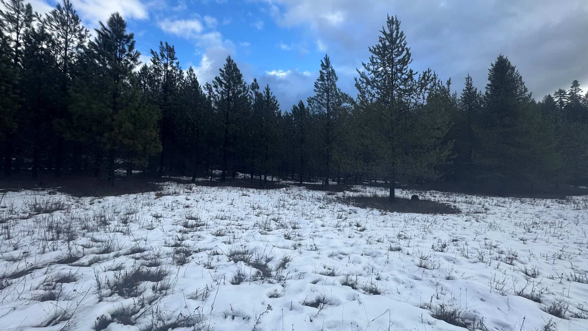 Land for Sale near Orofino in Clearwater County, Idaho