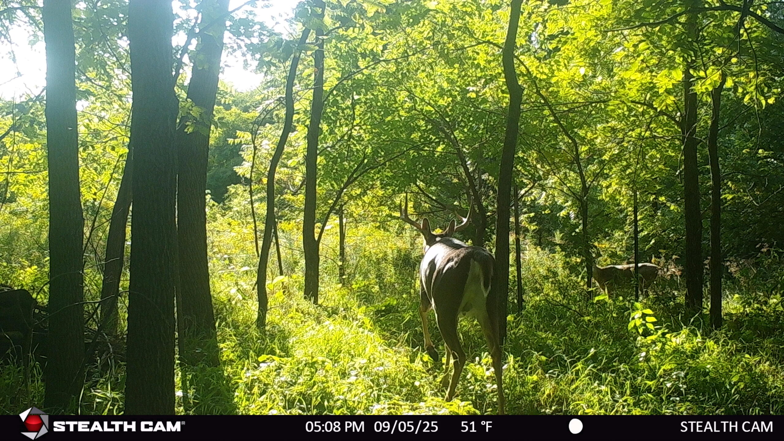 40-acre gem in Marquette County, Wisconsin