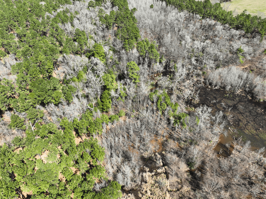 East Texas Timberland and Recreational Tract