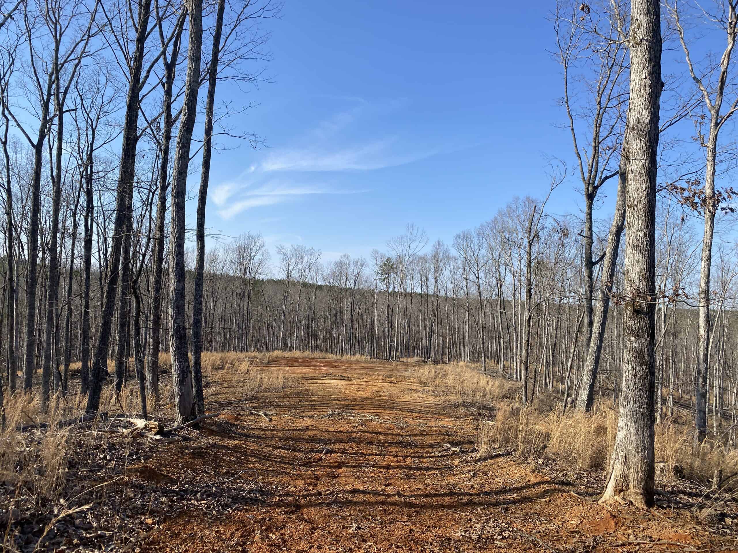 HUNTING PROPERTY FOR SALE IN TN, ROCK BOTTOM CREEKS & 5 FIELDS