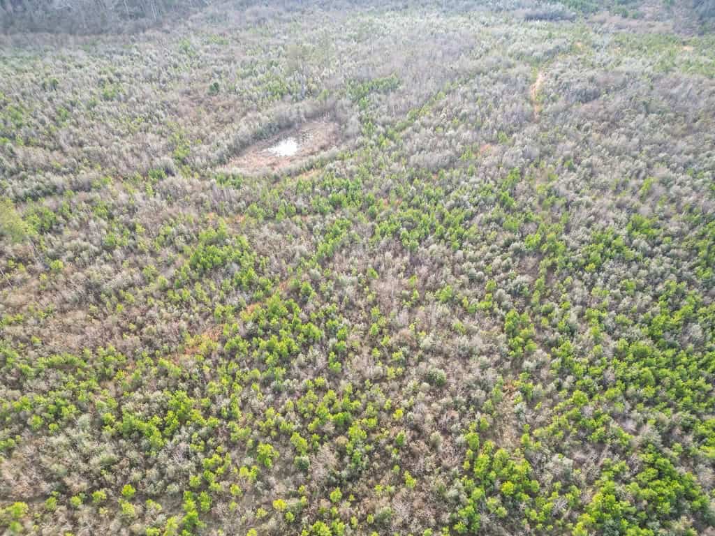 Land for Sale in Amite County, MS