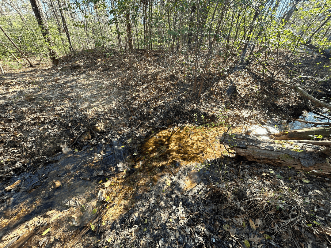 Hunting & Timber Investment Property for Sale in East Texas