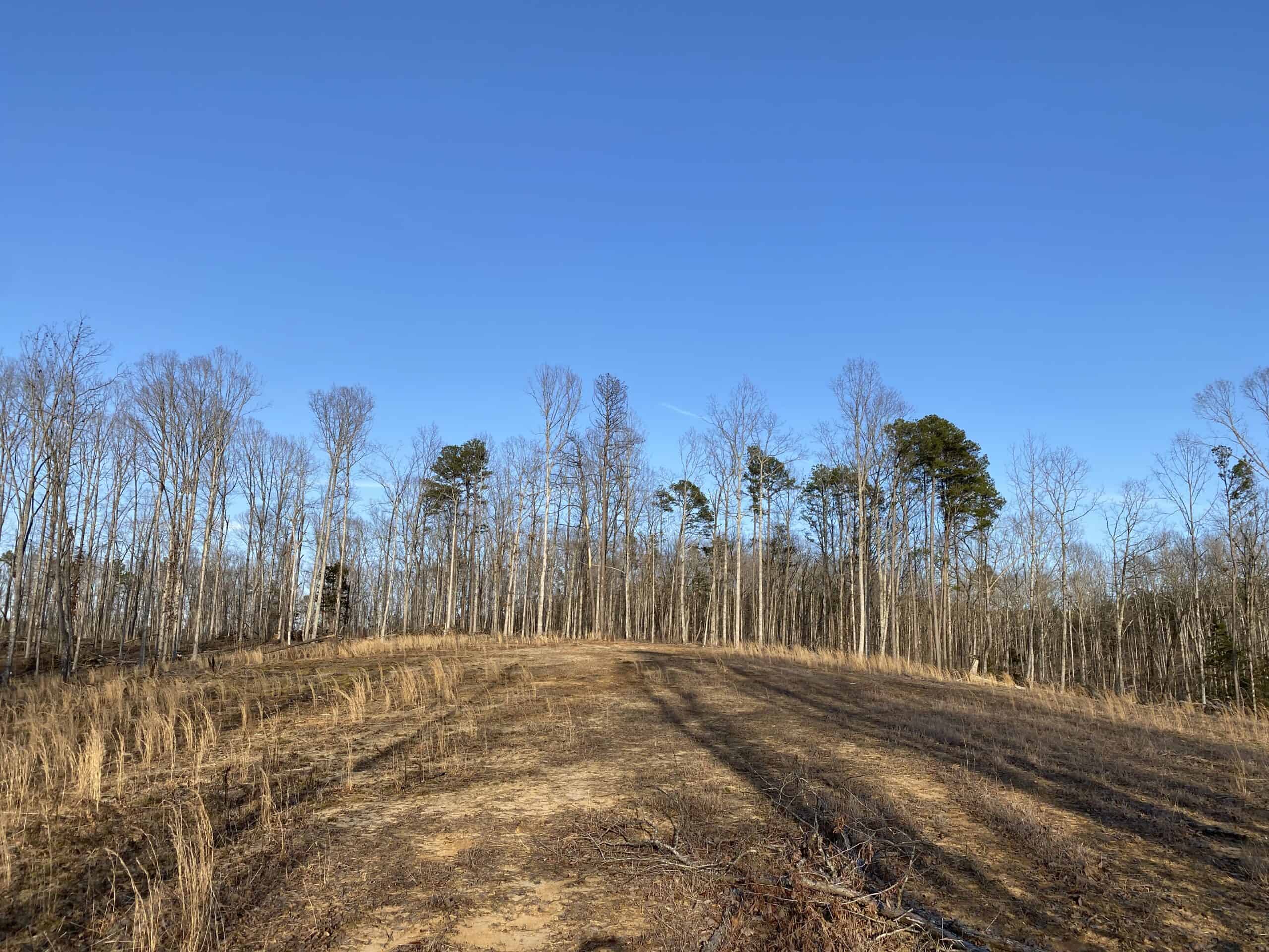 HUNTING PROPERTY FOR SALE IN TN, ROCK BOTTOM CREEKS & 5 FIELDS