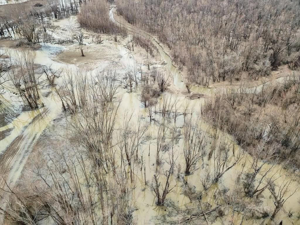 1001 Travelers Rest Road