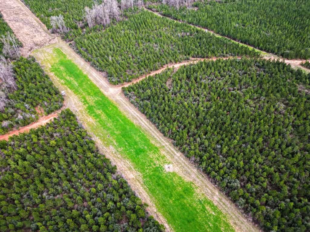 Affordable Hunting Property in Amite County