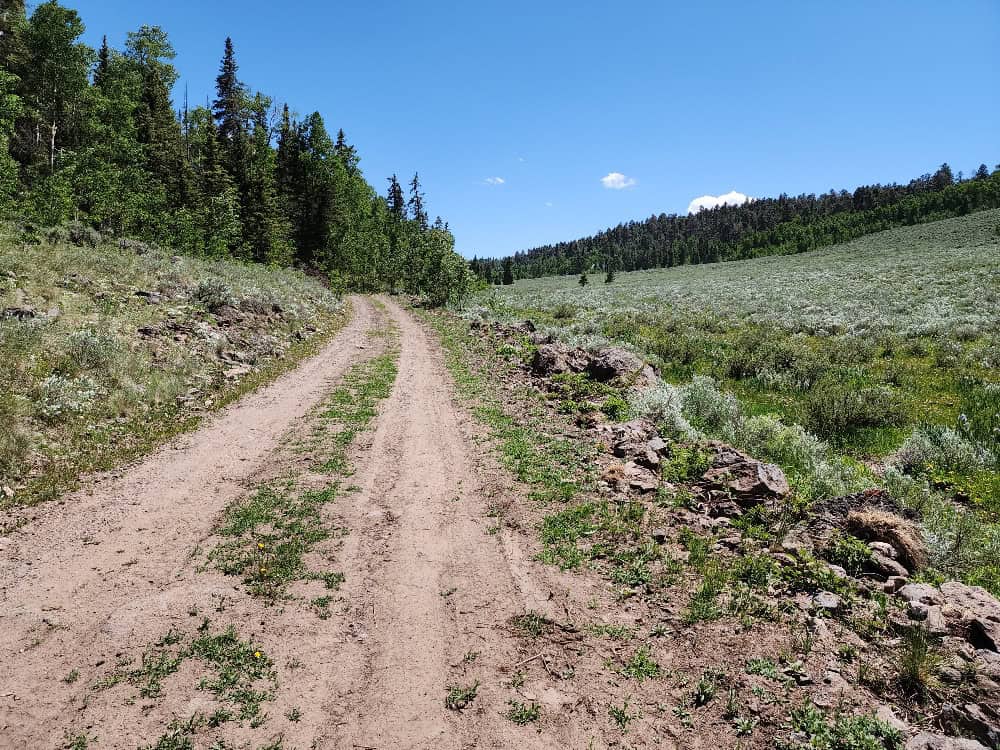 40 Acres in Powderhorn, CO