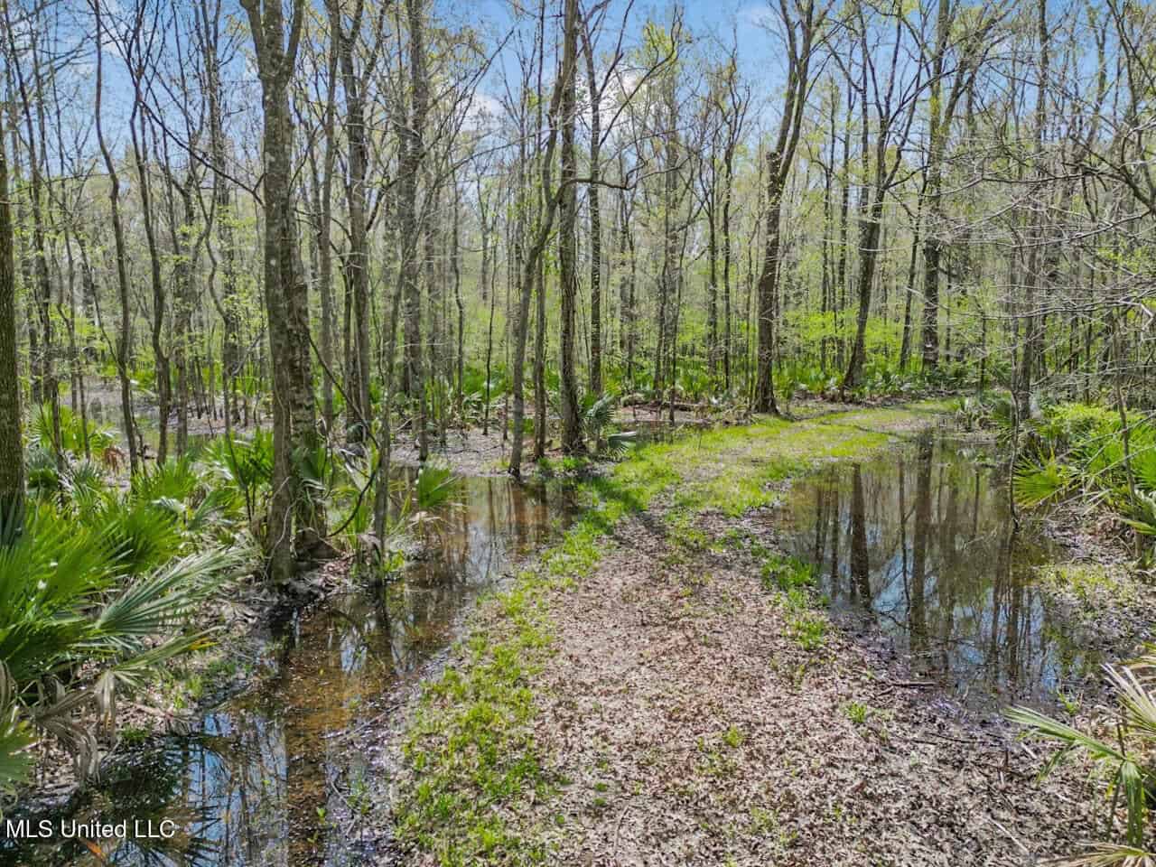 Affordable Deer/Duck Combination in Concordia Parish