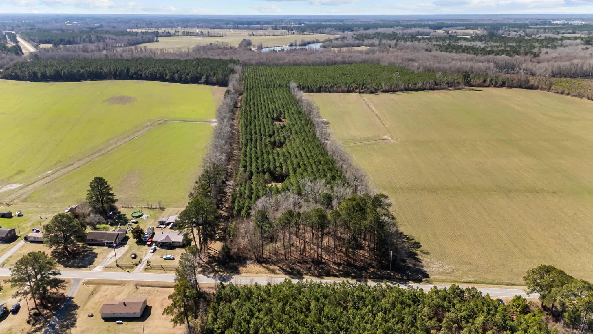 56 Acres of Hunting Property in Bertie County, NC