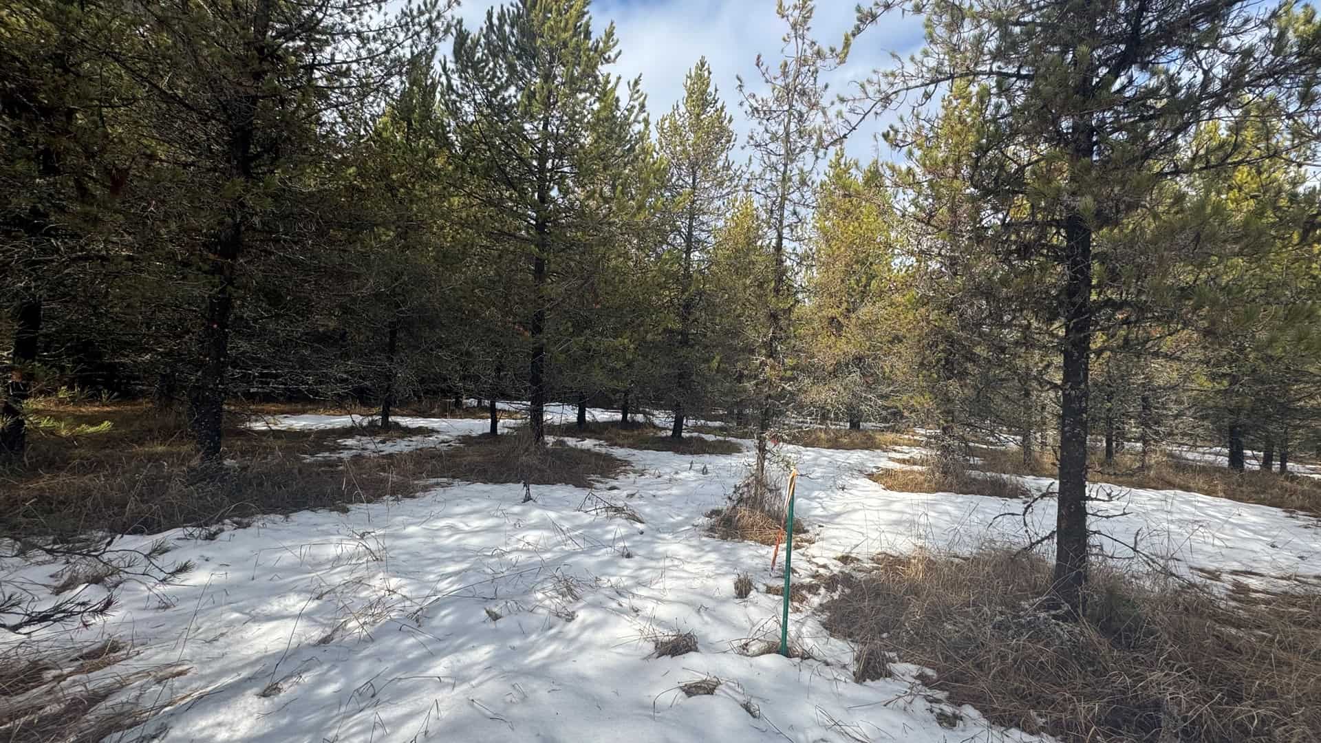 Land for Sale in Orofino, Idaho