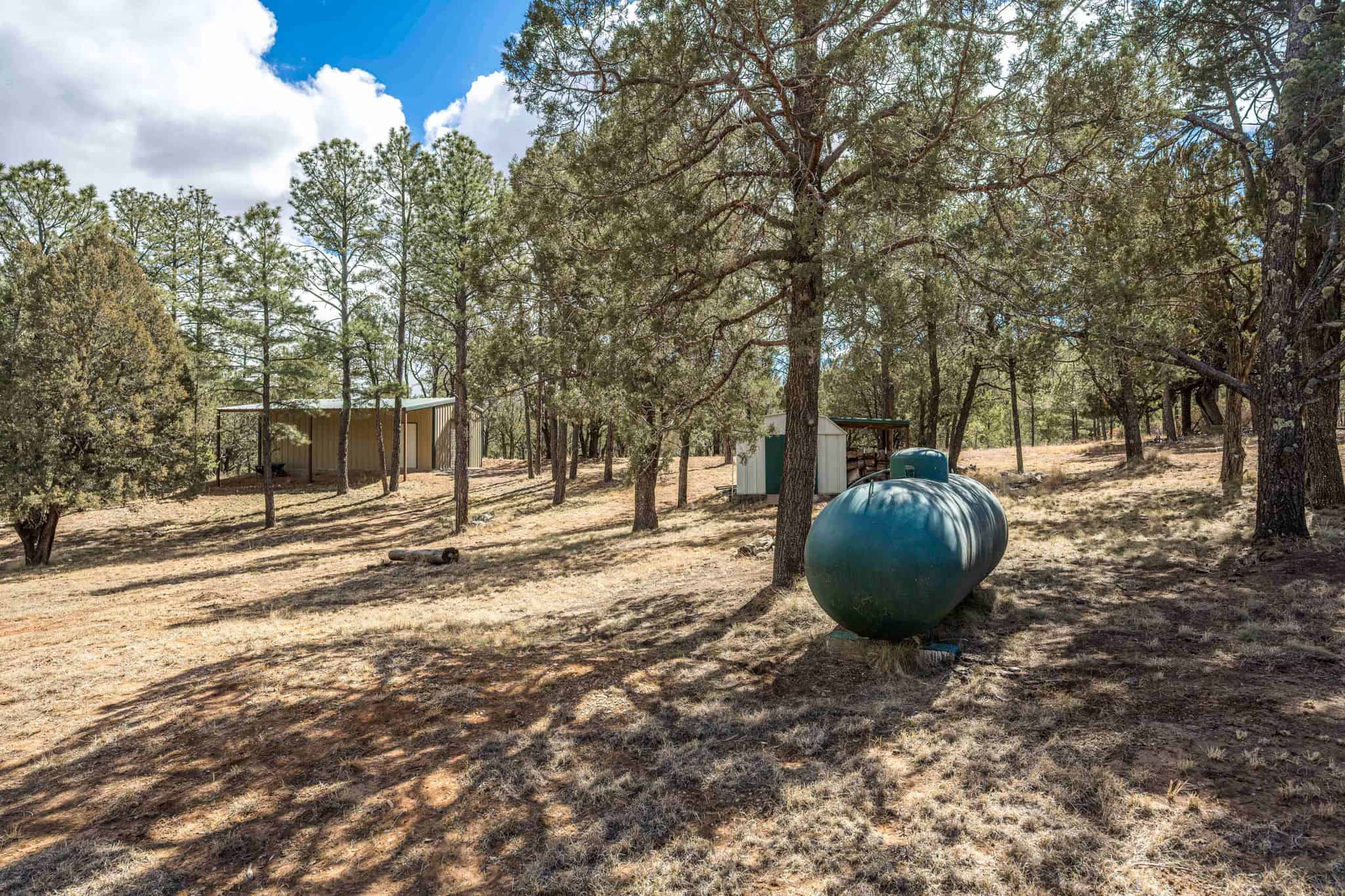 Hunting Property with Furnished Cabin for Sale in Timberon, New Mexico