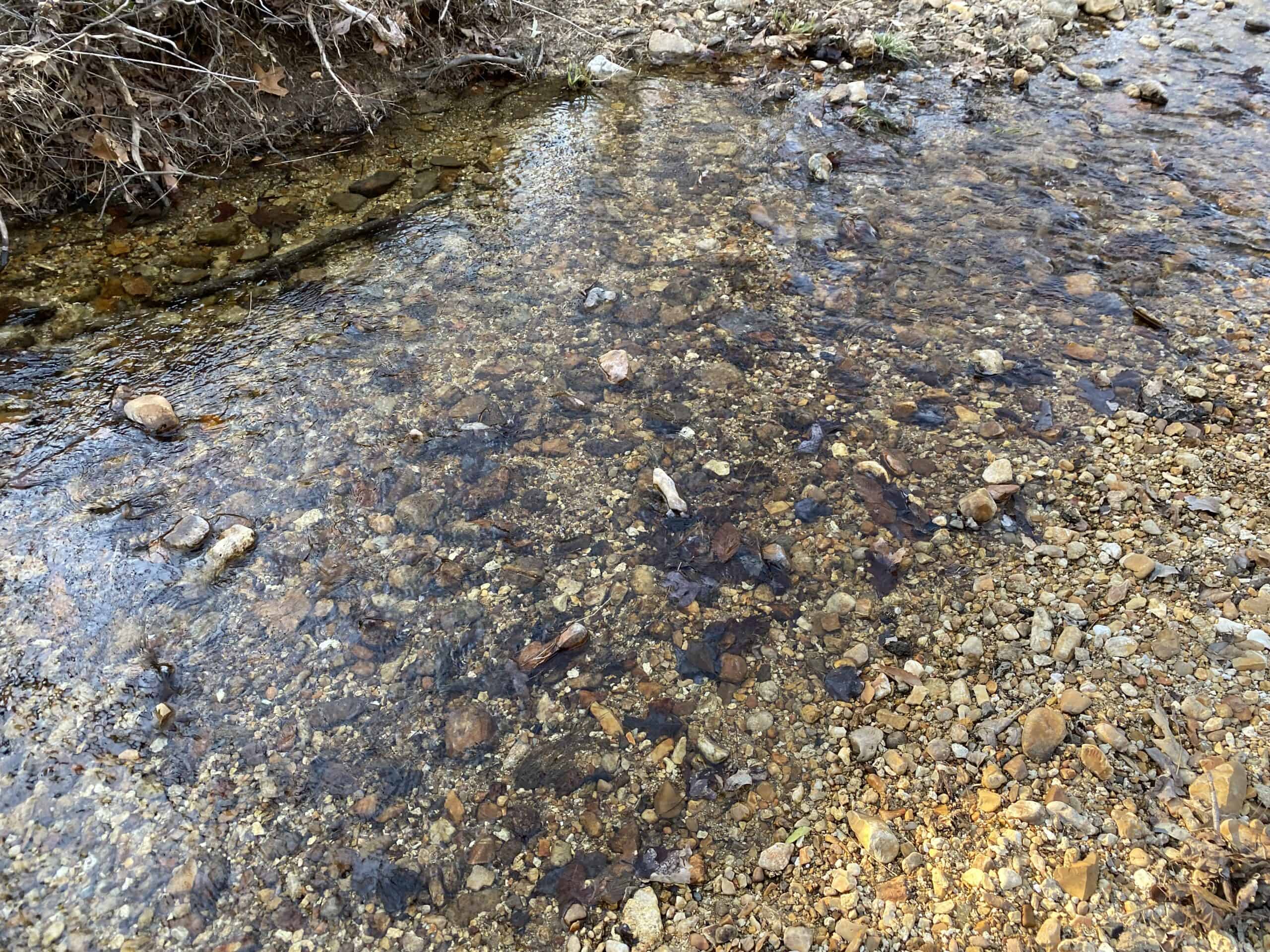 HUNTING PROPERTY FOR SALE IN TN, ROCK BOTTOM CREEKS & 5 FIELDS