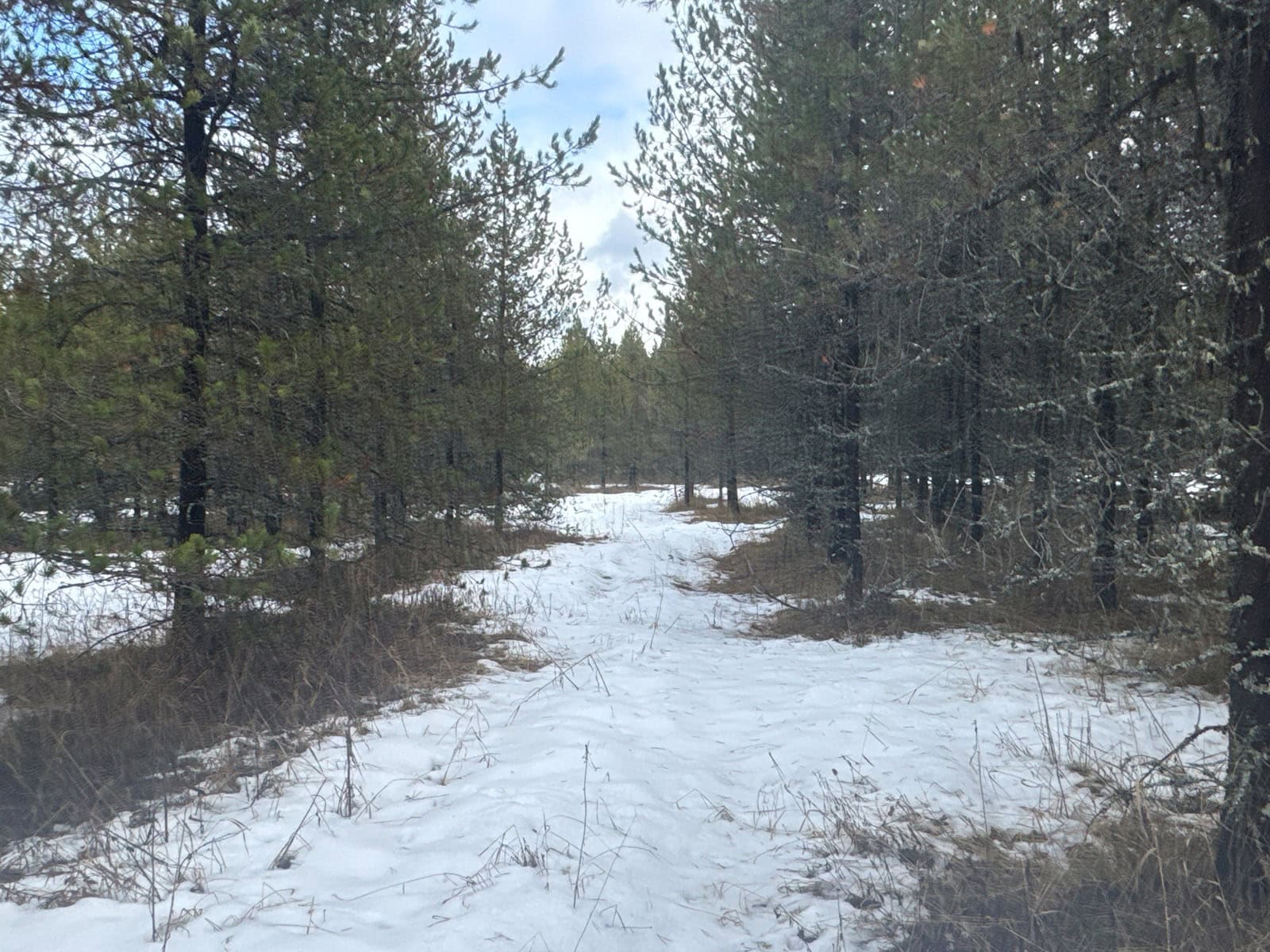 Land for Sale near Orofino in Clearwater County, Idaho
