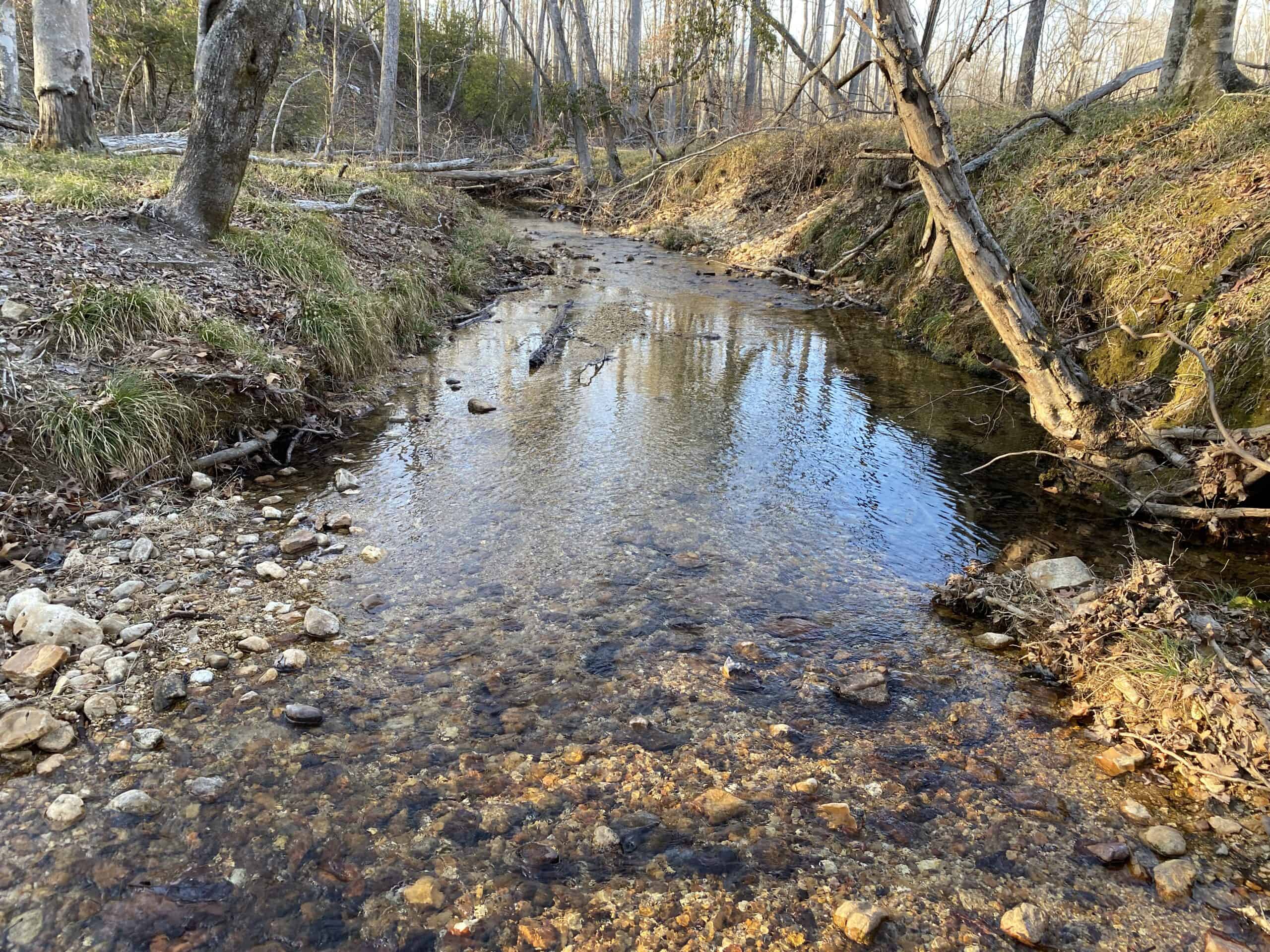 HUNTING PROPERTY FOR SALE IN TN, ROCK BOTTOM CREEKS & 5 FIELDS