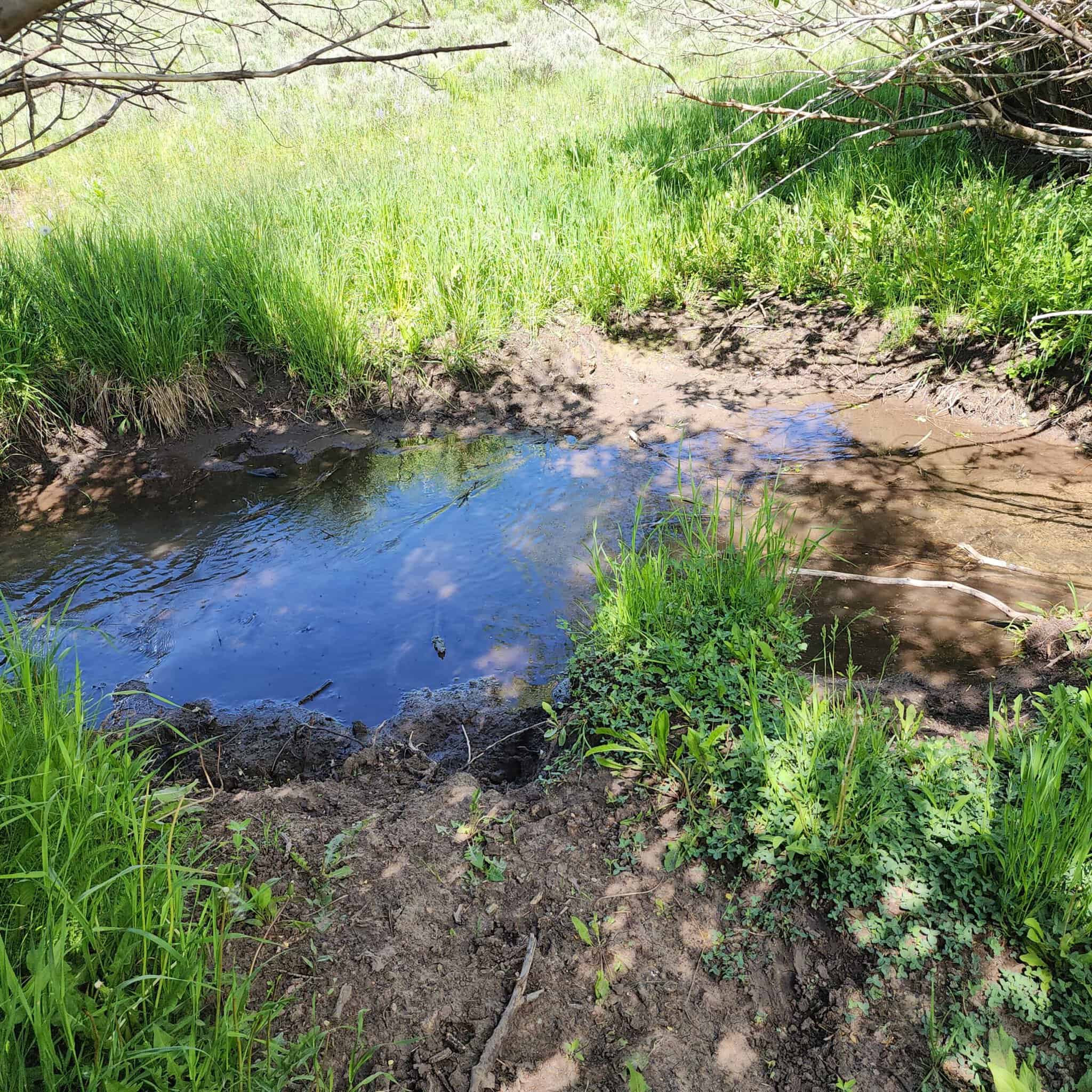 Colorado Hunting Property for Sale