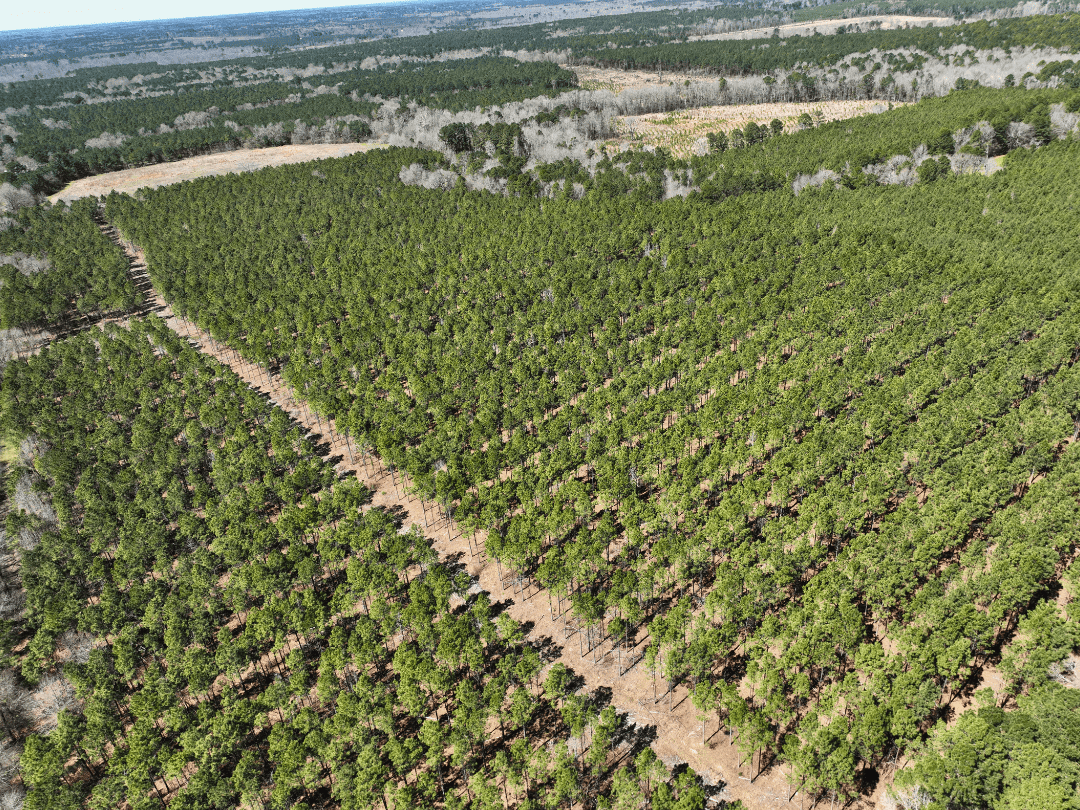 East Texas Timberland and Recreational Tract
