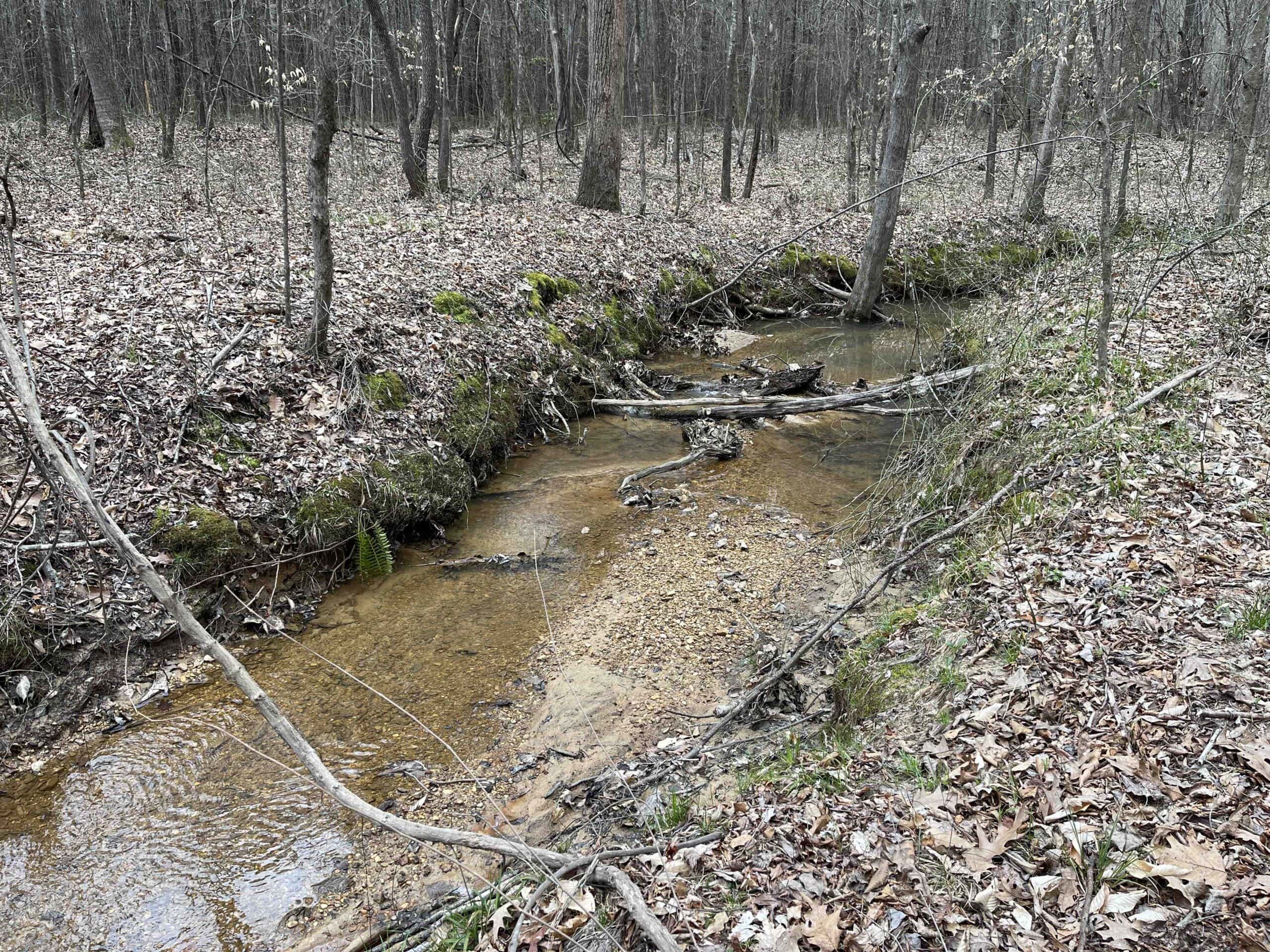 HUNTING LAND FOR SALE NEAR TN RIVER WITH CREEK 154.16Acres