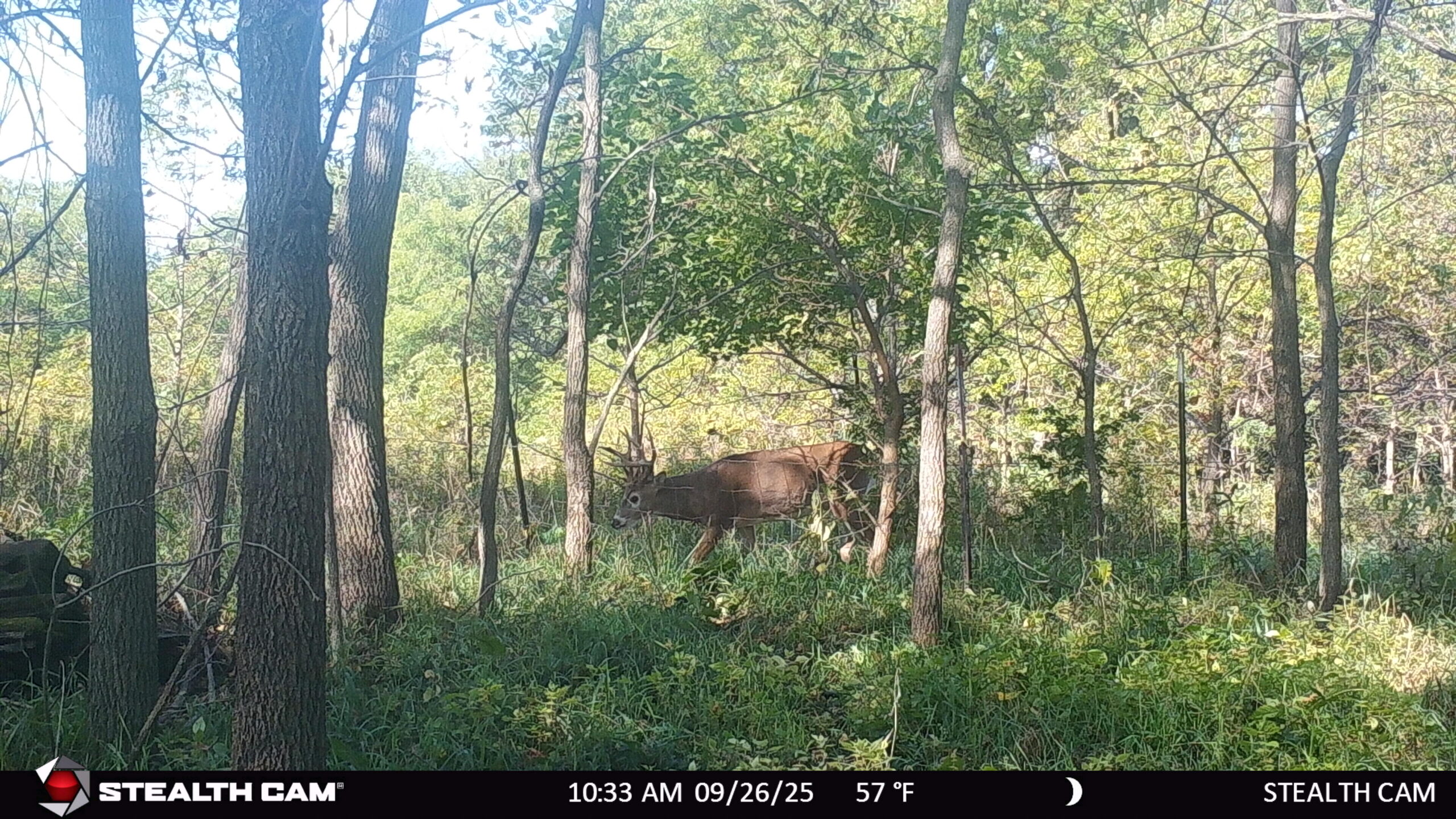 40-acre gem in Marquette County, Wisconsin