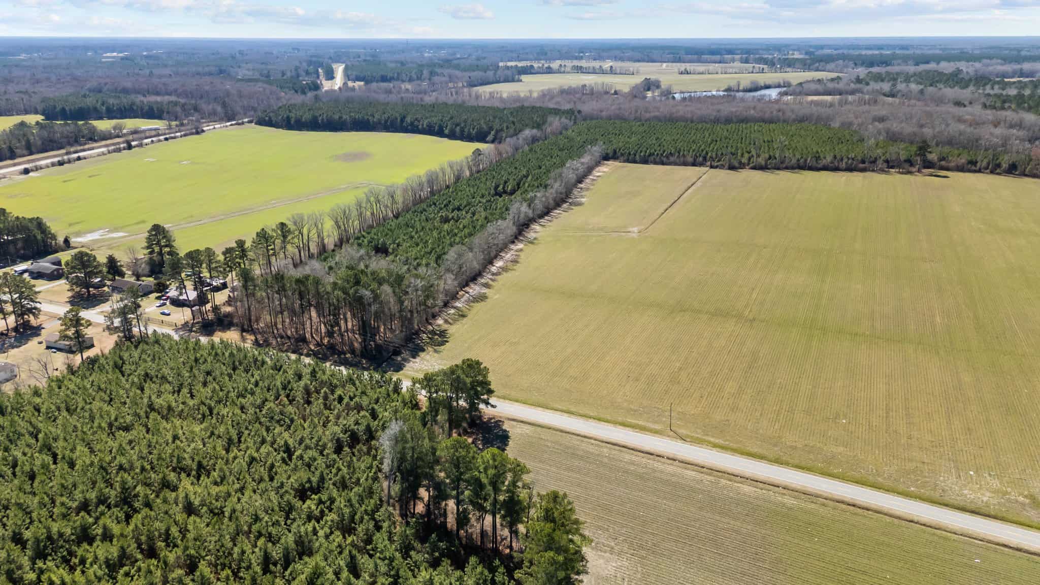 56 Acres of Hunting Property in Bertie County, NC