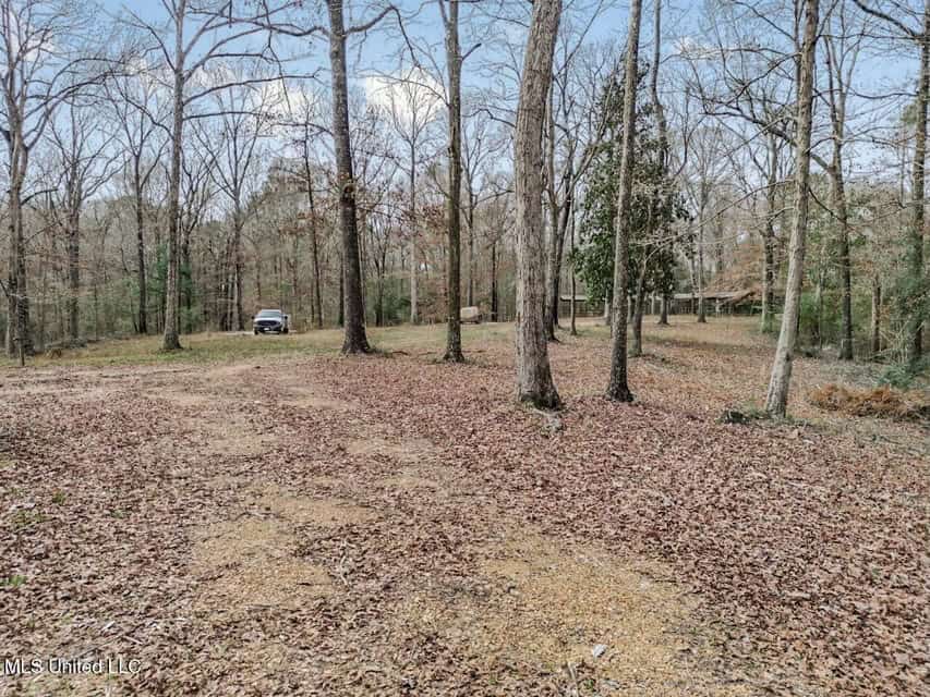 20 Acres and Cabin Adjoining Homochitto National Forest