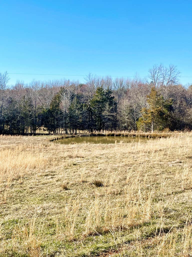 Southern Virginia Hunting & Recreation Retreat – 190 Acres of Outdoor Adventure