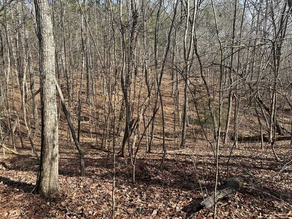 Ultimate Hunting & Recreation Retreat – Staunton Station