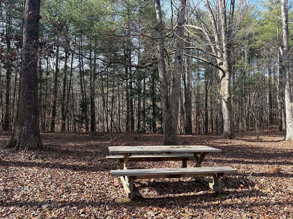Ultimate Hunting & Recreation Retreat – Staunton Station