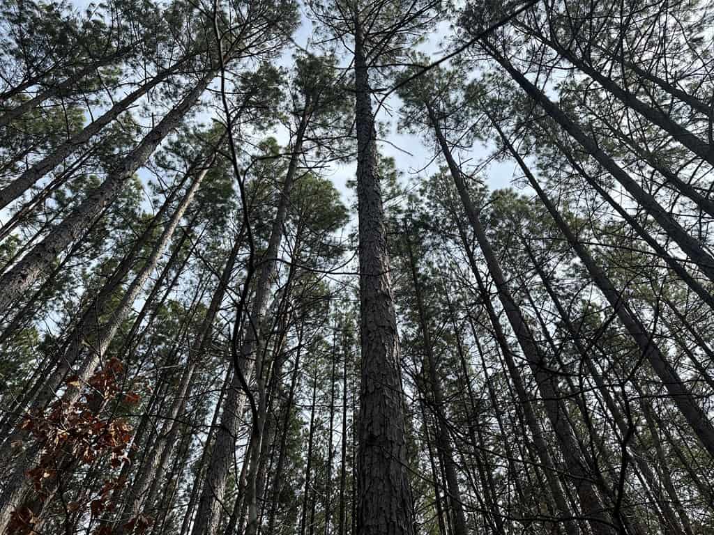 Ultimate Hunting & Recreation Retreat – Staunton Station