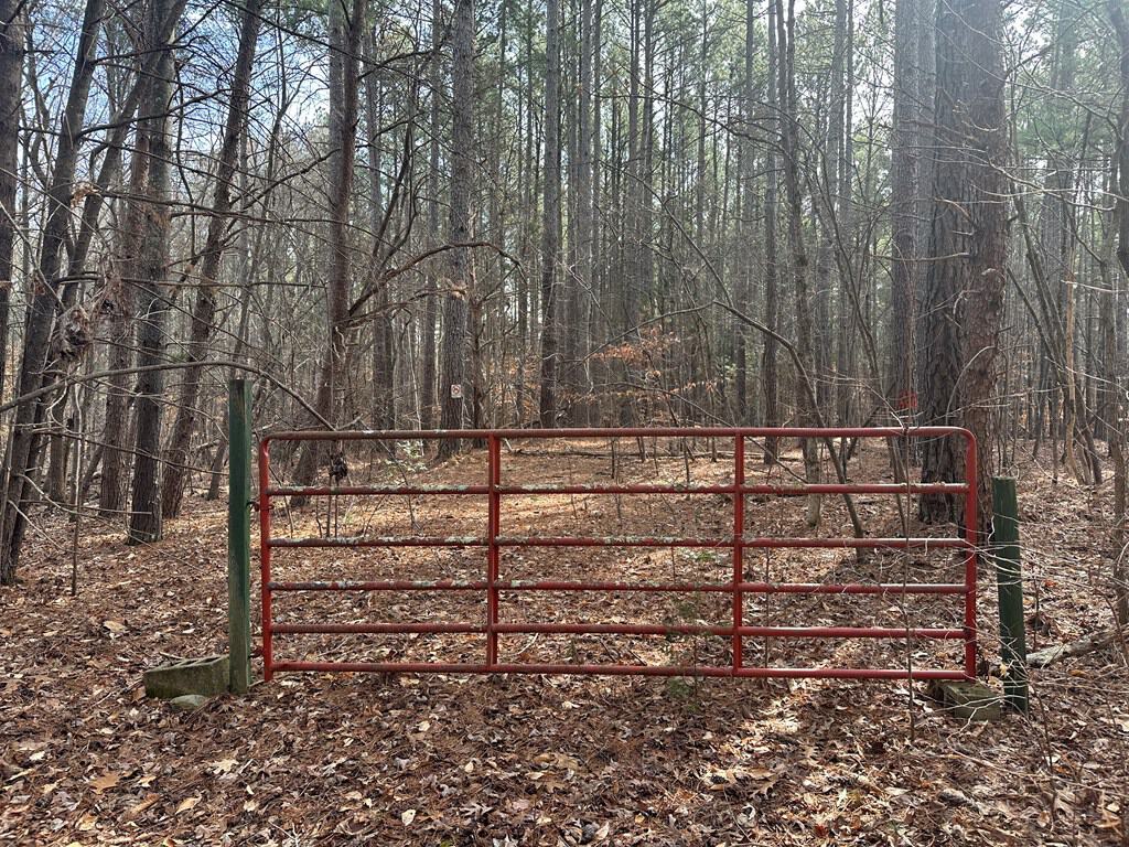 Ultimate Hunting & Recreation Retreat – Staunton Station