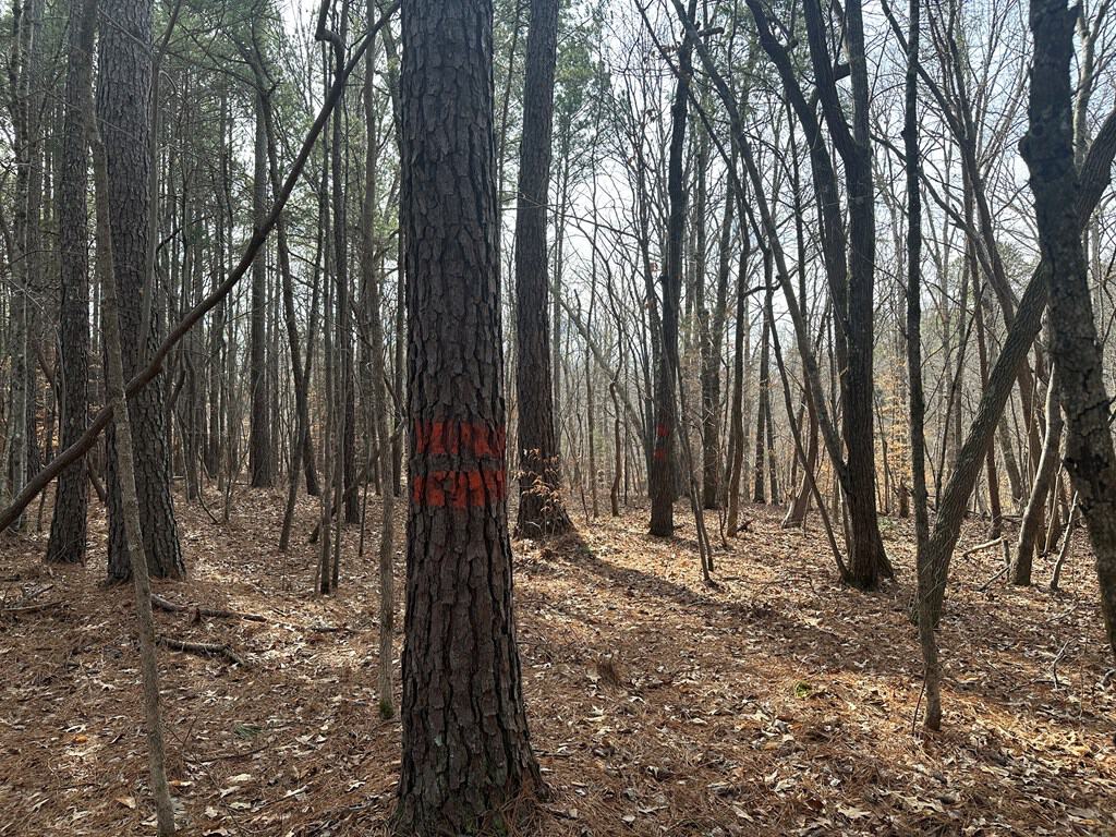 Ultimate Hunting & Recreation Retreat – Staunton Station