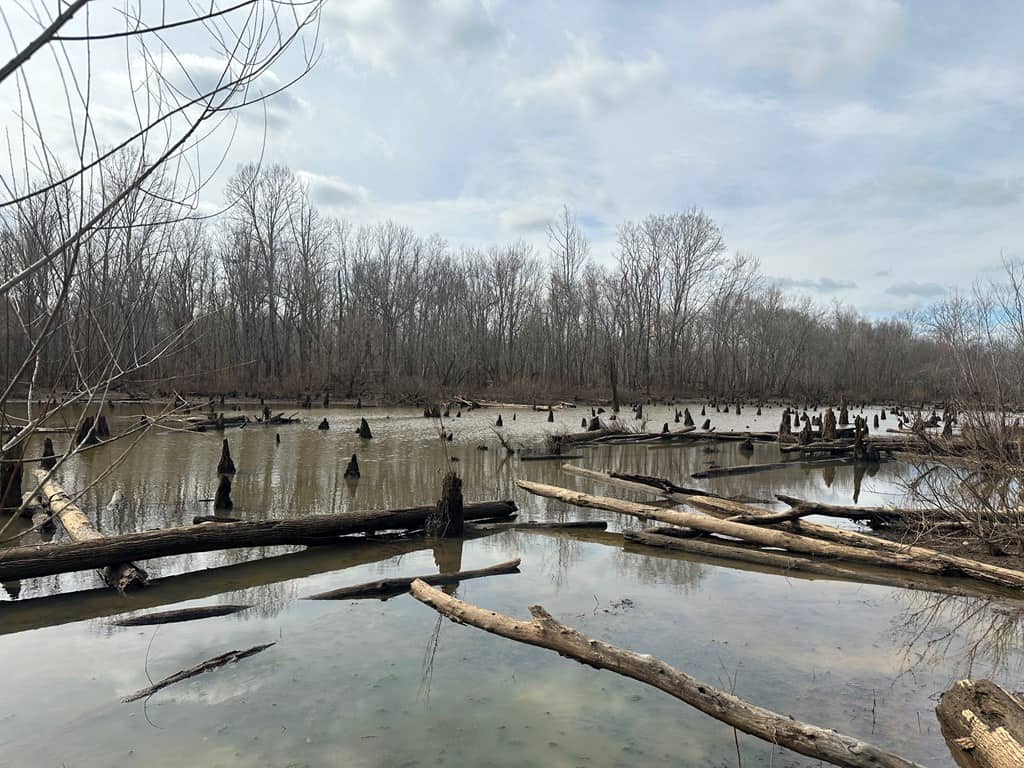 Ultimate Hunting & Recreation Retreat – Staunton Station