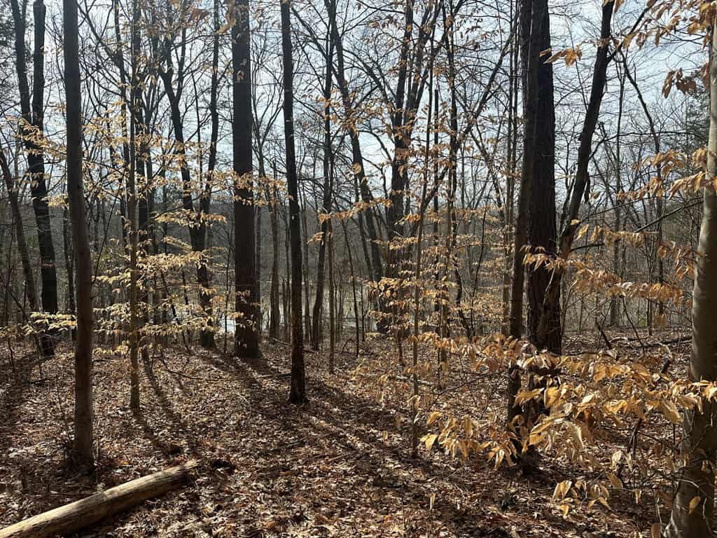 Ultimate Hunting & Recreation Retreat – Staunton Station