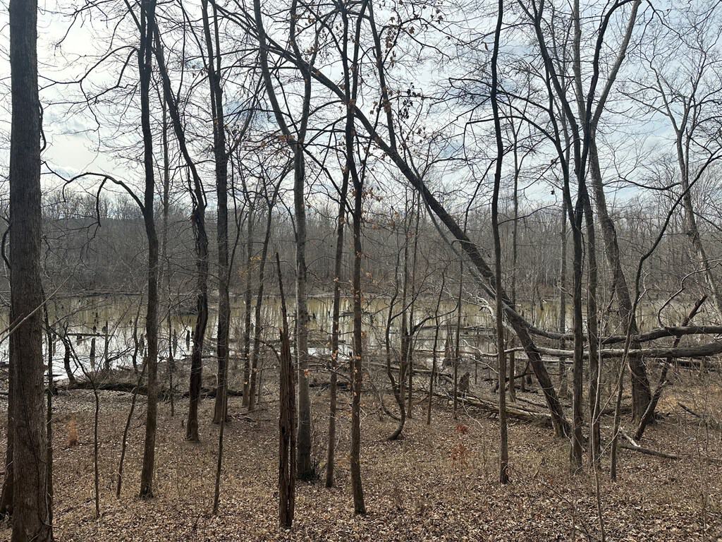 Ultimate Hunting & Recreation Retreat – Staunton Station