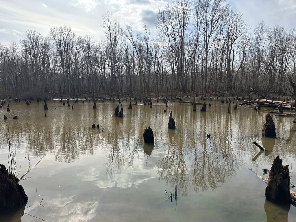 Ultimate Hunting & Recreation Retreat – Staunton Station