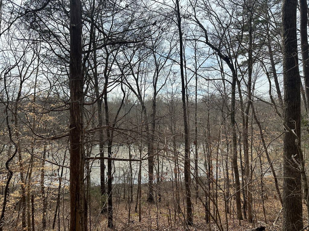 Ultimate Hunting & Recreation Retreat – Staunton Station