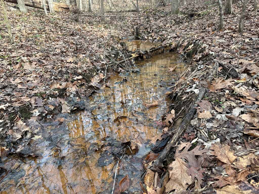 Ultimate Hunting & Recreation Retreat – Staunton Station