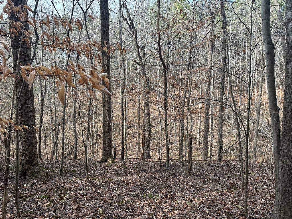 Ultimate Hunting & Recreation Retreat – Staunton Station
