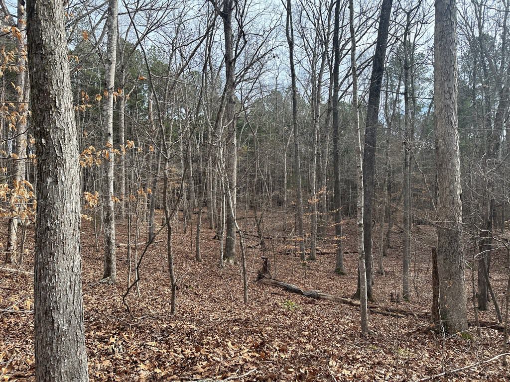 Ultimate Hunting & Recreation Retreat – Staunton Station