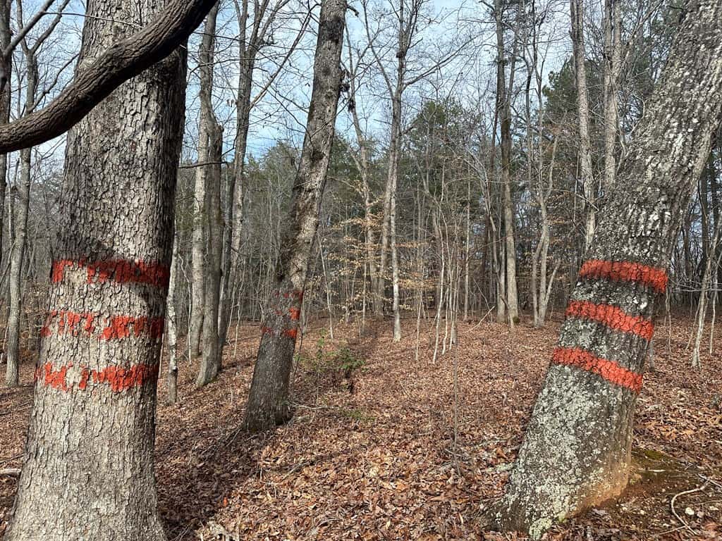 Ultimate Hunting & Recreation Retreat – Staunton Station