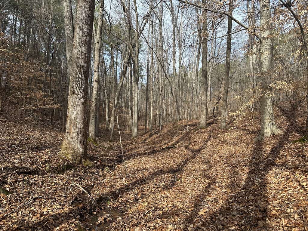 Ultimate Hunting & Recreation Retreat – Staunton Station