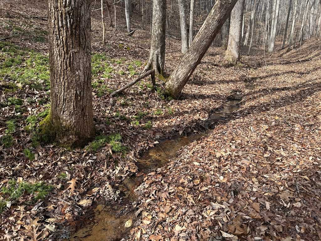 Ultimate Hunting & Recreation Retreat – Staunton Station